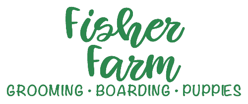 Fisher Farm Grooming Boarding Puppies